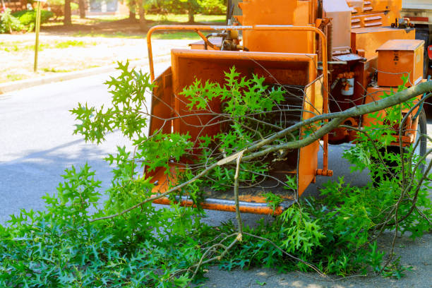 Lawn Watering Services in Morris, OK